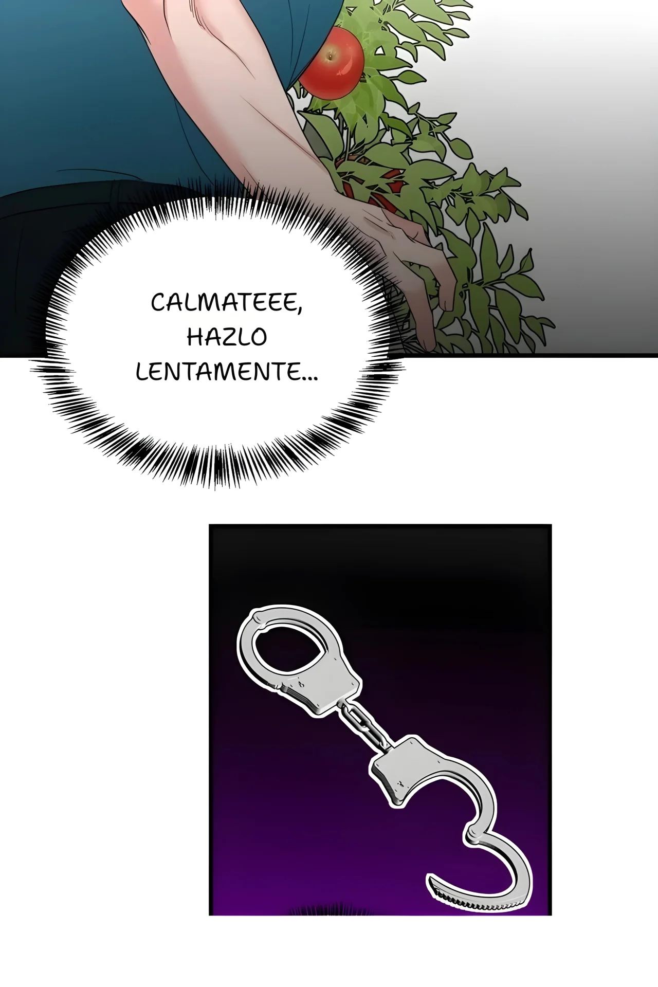 I'll Arrest You! (Te arrestare!)-53